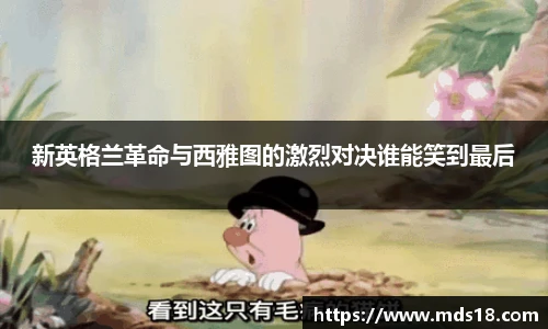 yy体育