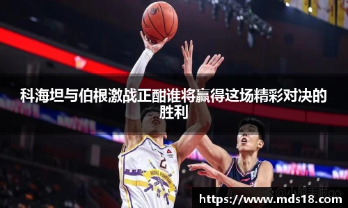 yy易游