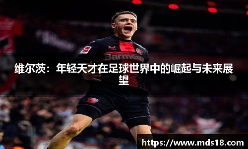 yy易游
